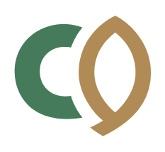 Climate Ready Infrastructure Service